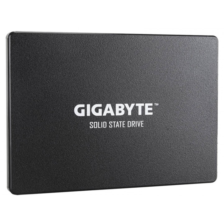 Твердотельный накопитель GigaByte 256Gb GP-GSTFS31256GTND