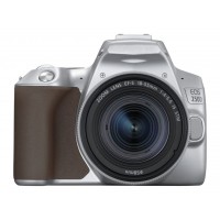 Canon EOS 250D Kit 18-55mm f/4-5.6 IS STM Silver 3461C001