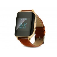 SBW D100 Gold