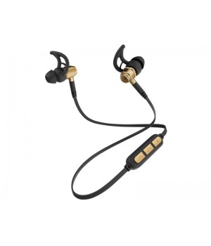 Nobby Expert L-900 Metal-Gold