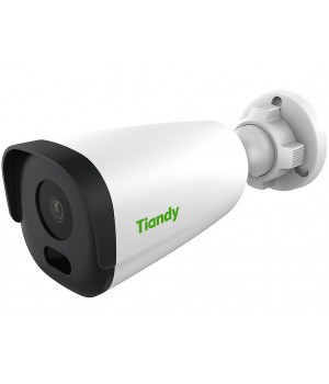 IP камера Tiandy TC-C34GN 4mm 00-00002641