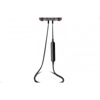Ipipoo IL91BL Gray