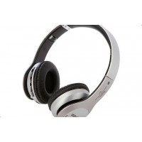 Activ B-20 Silver 77230