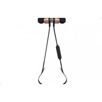 Activ LMK-013 Black-Gold 77274