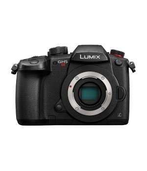 Фотоаппарат Lumix DC-GH5S Body
