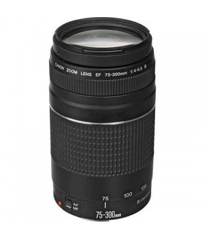 Canon 75-300mm f/4.0-5.6 EF III