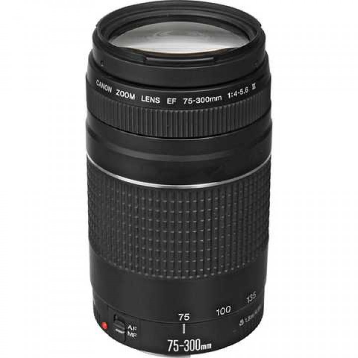 Canon 75-300mm f/4.0-5.6 EF III