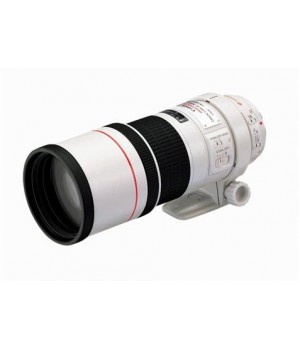 Объектив Canon EF 300 mm F/4 L IS USM