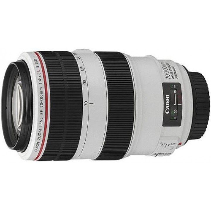 Canon EF 70-300mm f/4.0-5.6L IS USM