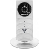 IP камера Redmond SkyCam RG-C1S