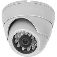 IP камера AxyCam AD-P33B3.6NIL