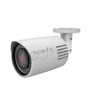 IP камера Falcon Eye FE-IPC-BL202PA