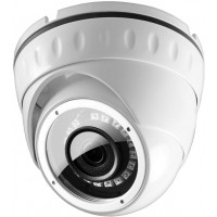 IP камера Ginzzu HID-2031S