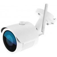 IP камера Ginzzu HWB-1031O