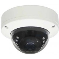 IP камера Longse LMDFS130