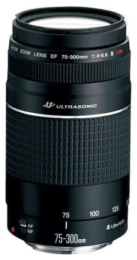 Canon ZOOM LENS EF75-300mm 1:4-5.6 Ⅲ USM EF75-300mm F4-5.6 III USM - キヤノンカメラミュージアム